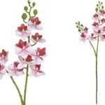 ARTIFICIAL-PHALAENOPSIS MINI X10 TOQUE REAL