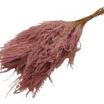 MOLHO FETO 60/80CMS COR:ROSA