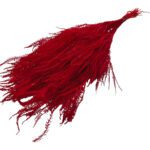 MOLHO FETO 60/80CMS COR:VERMELHO