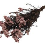 MOLHO FLOR DE ARROZ PRESERVADA 60CM COR:ROSA