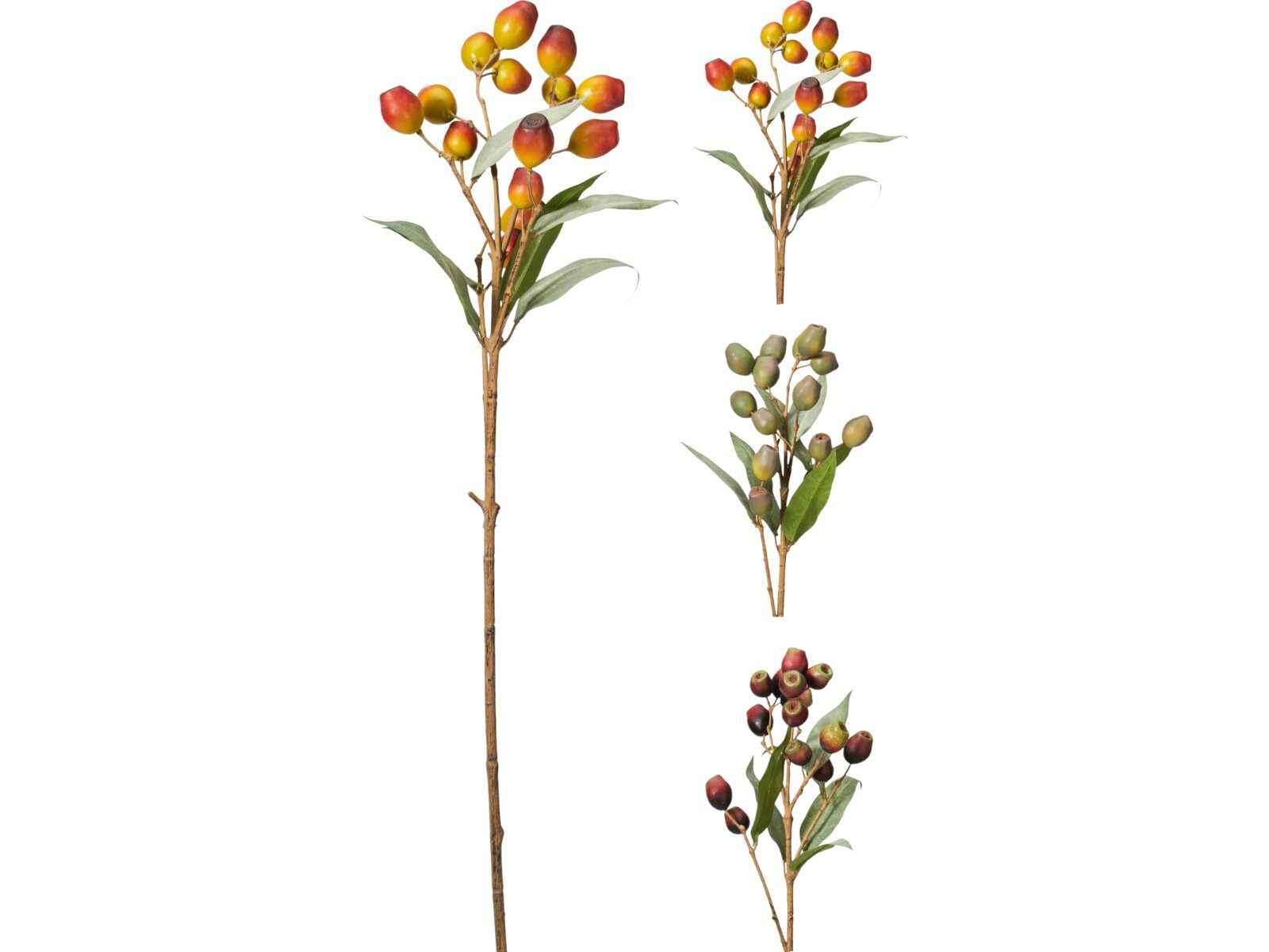 318805120_COMPOSITION_001_ ARTIFICIAL- PE BERRIE COR:SORTIDAS - Image 1