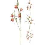 ARTIFICIAL- FRITILLARIA COR:SORTIDAS
