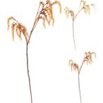 ARTIFICIAL- PE SUCULENTAS PENDURADAS COR:SORTIDAS