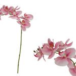 ARTIFICIAL- PHALENOPSIS X7