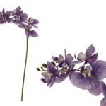 ARTIFICIAL- PHALENOPSIS X7