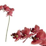 ARTIFICIAL- PHALENOPSIS X7