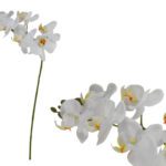 ARTIFICIAL- PHALENOPSIS X7