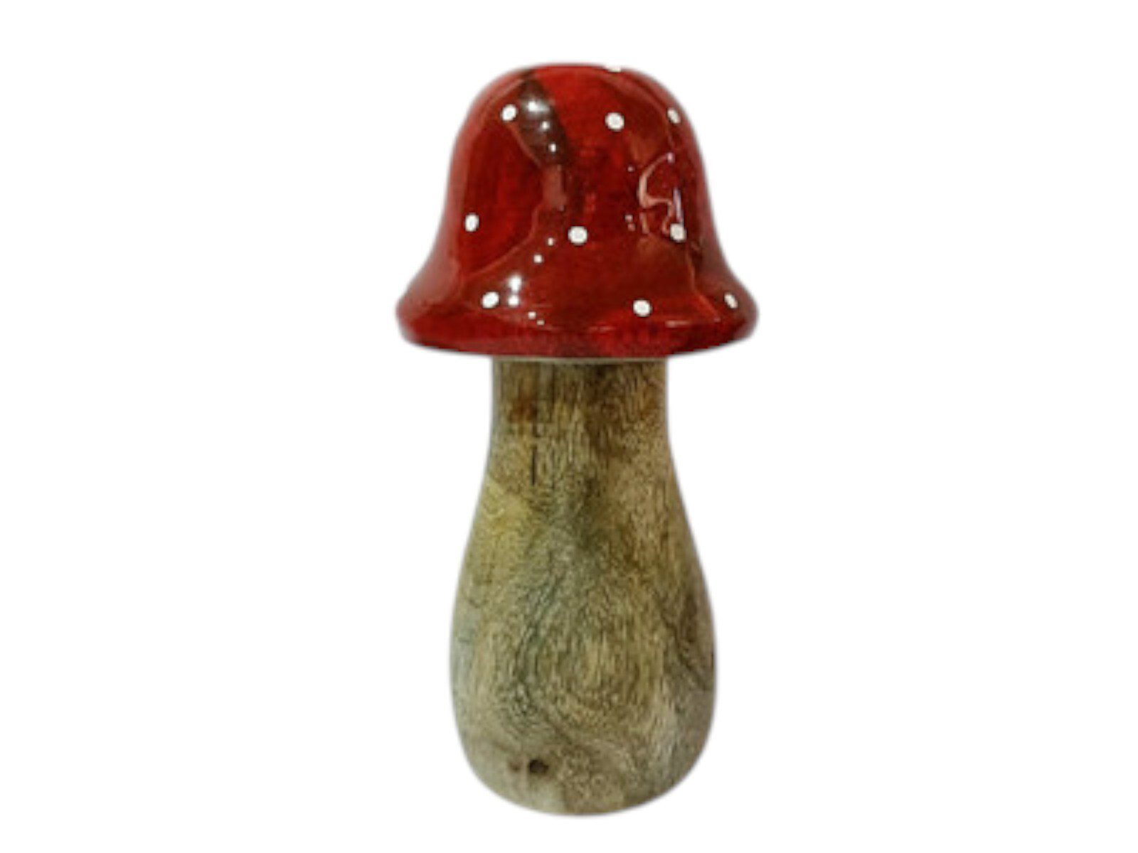 701518 COGUMELO MADEIRA - Image 1