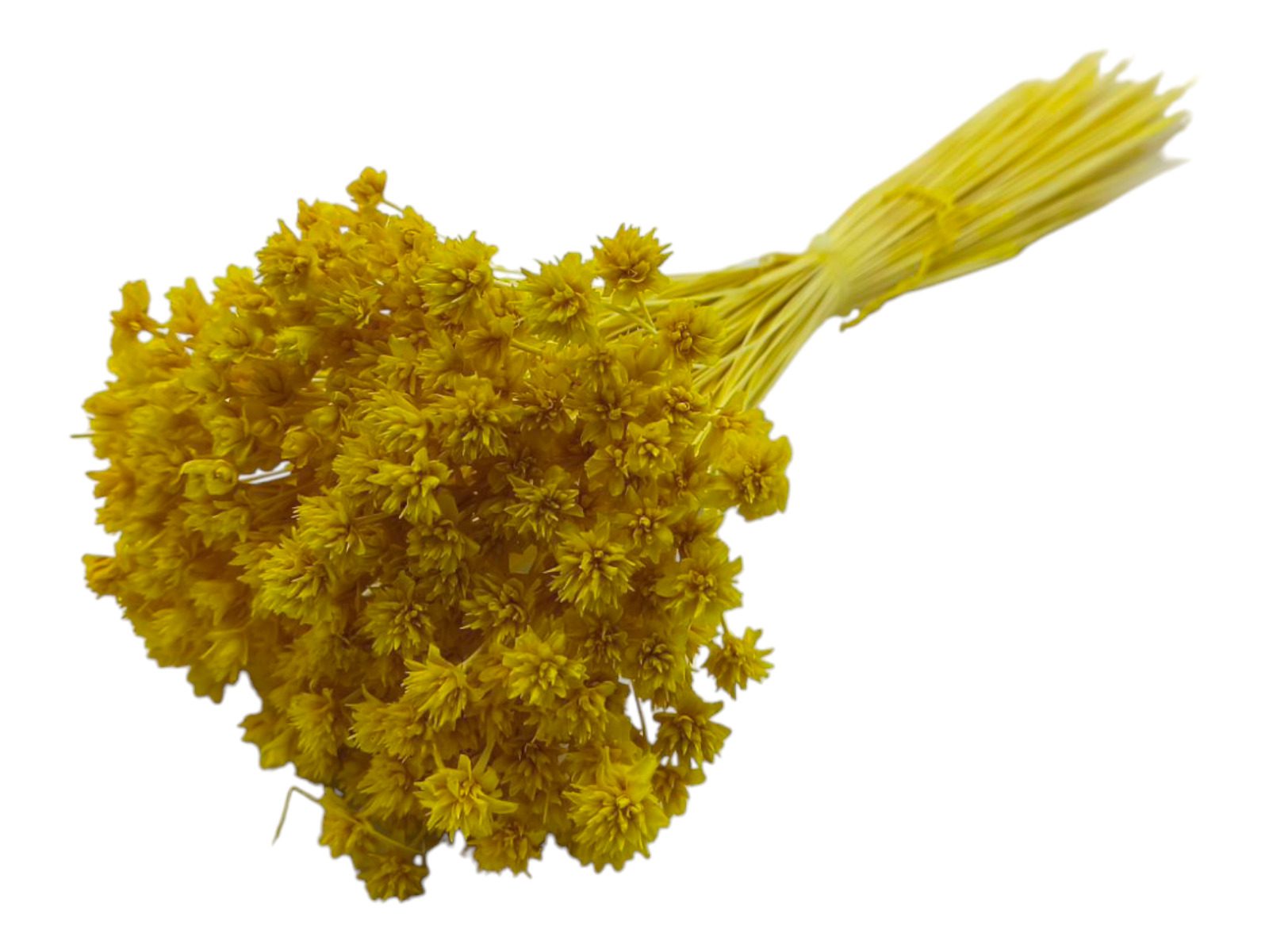 97.000214 BOTAO FLOR ALT.45/55CM 100GR COR:AMARELO - Image 1