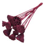 LOTUS DIA.3/5 MOLHO C/15UNID COR:ROSA