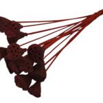 LOTUS DIA.3/5 MOLHO C/15UNID COR:LARANJA