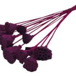 LOTUS DIA.3/5 MOLHO C/15UNID COR:ROSA