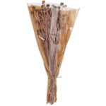 BOQUE FLORES SECAS MARGARIDA SELVAGEM 125GR