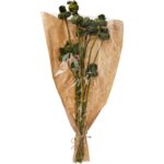 BOQUE FLORES SECAS ARTICHOKE SELVAGEM 110GR