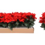 RAMO ESTRELA NATAL X5 FLORES