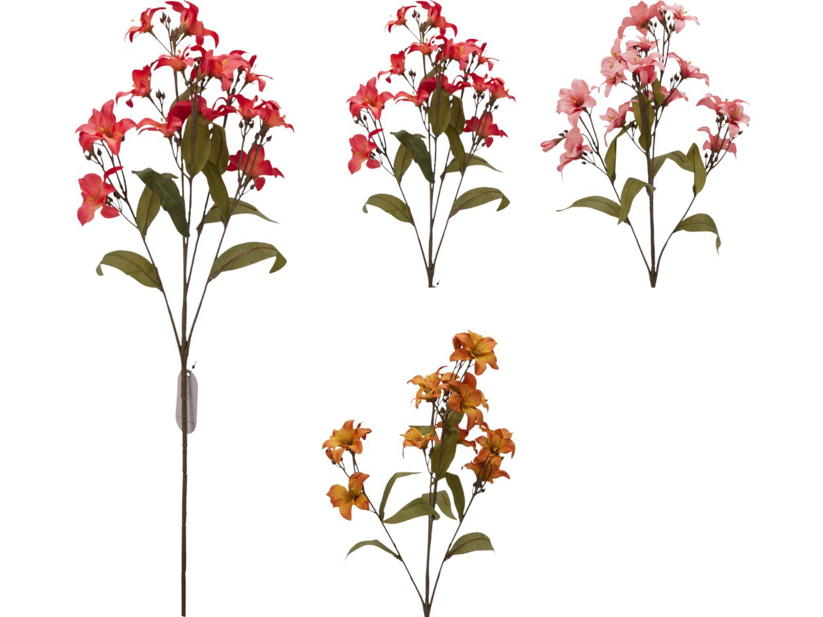 PL8000100_COMPOSITION_001_