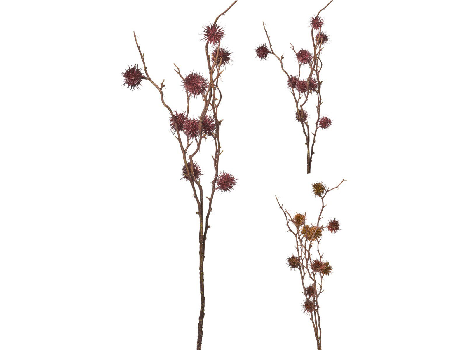 318805510_COMPOSITION_001_ ARTIFICIAL- PE CASTANHEIRO COR:SORTIDAS - Image 1