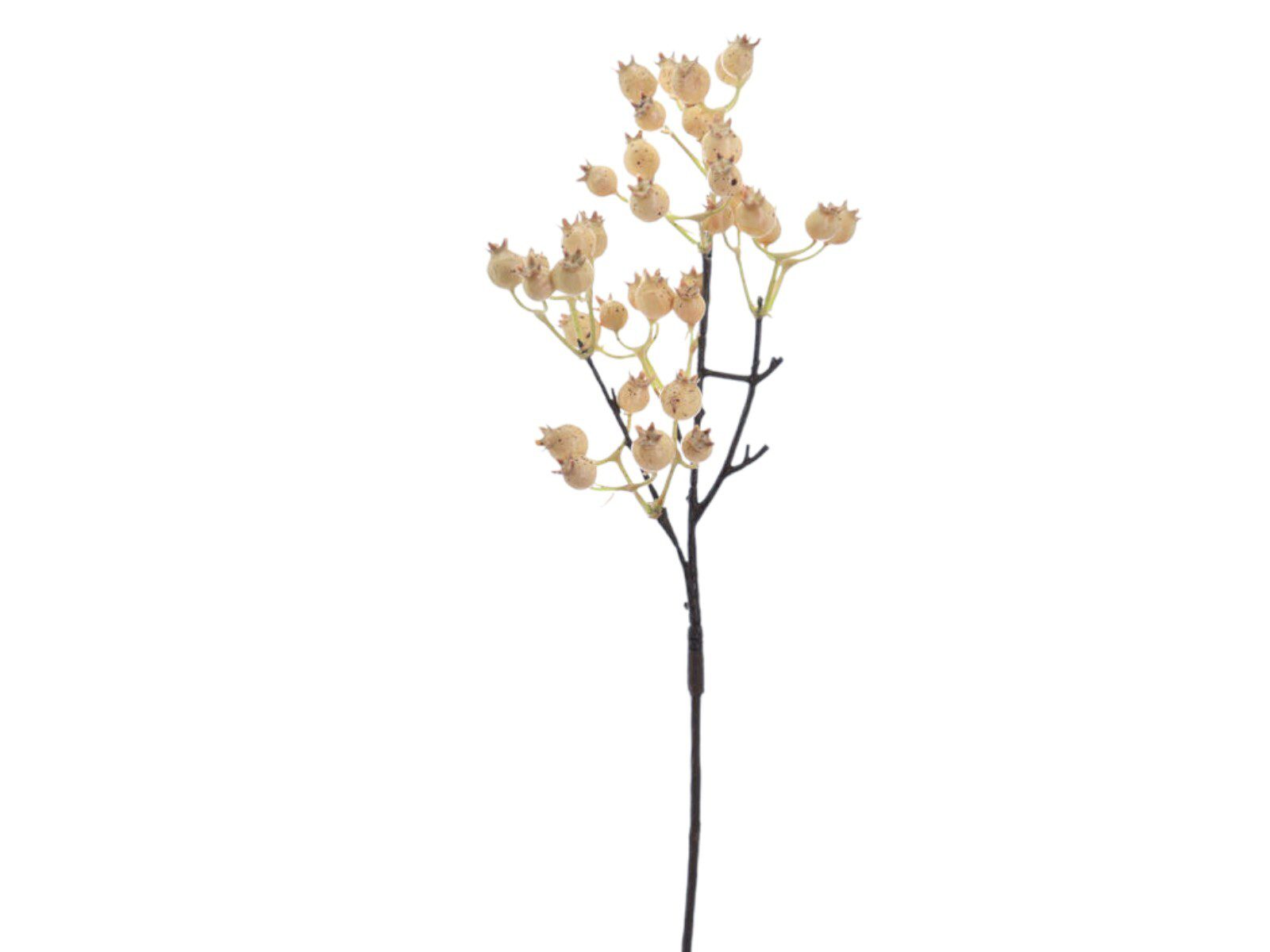 8107-31 ARTIFICIAL- BERRY COR:PEROLA - Image 1