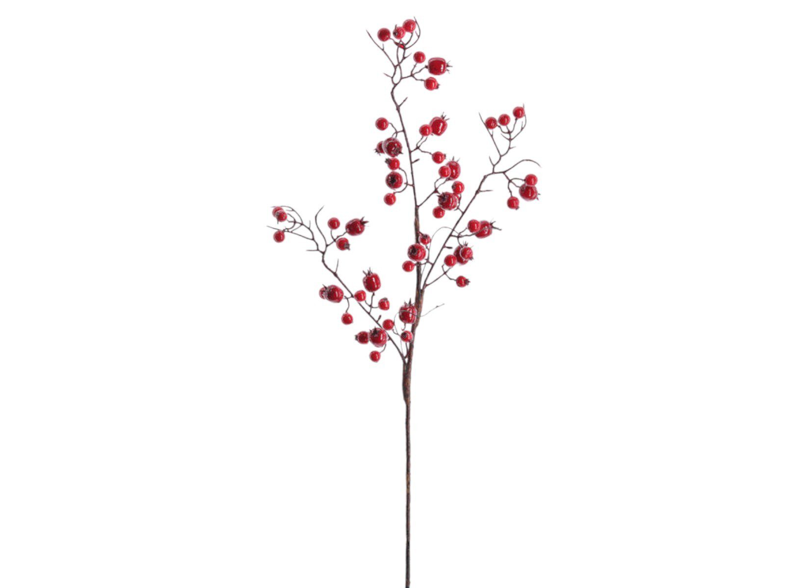 nav2552-08 ARTIFICIAL- PE BERRY COR:VERMELHO - Image 1
