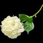 FLOR ARTIFICIAL- HORTENCIA COR:BRANCA