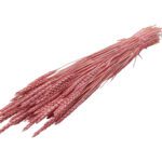 MOLHO DE TRIGO 50/60CM 250GR COR:ROSA