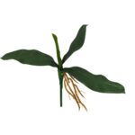 ARTIFICIAL-FOLHA ORQUIDEA