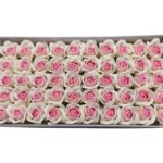 CAIXA C/50 ROSAS SABAO 5CM COR:ROSA/CREME