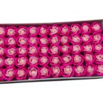 CAIXA C/50 ROSAS SABAO 5CM COR:ROSA/CREME