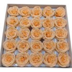 CAIXA C/25 ROSAS 6.5CM SABAO 5CM COR:SALMAO