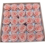 CAIXA C/25 ROSAS 6.5CM SABAO 5CM COR:ROSA CL