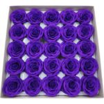 CAIXA C/25 ROSAS 6.5CM SABAO 5CM COR:ROXO