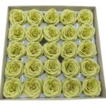 CAIXA C/25 ROSAS 6.5CM SABAO 5CM COR:VERDE