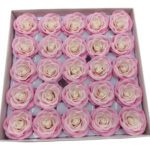 CAIXA C/25 ROSAS 6.5CM SABAO 5CM COR:ROSA/CREME