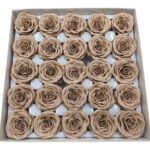 CAIXA C/25 ROSAS 6.5CM SABAO 5CM COR:CASTANHO CLARO