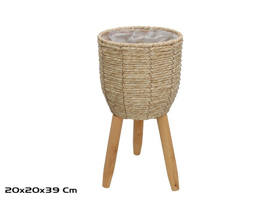 8445393579061 FLOREIRA VIME C/PE COR:BEGE - Image 1