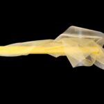 ORGANZA ROLO 70CMX10MTs