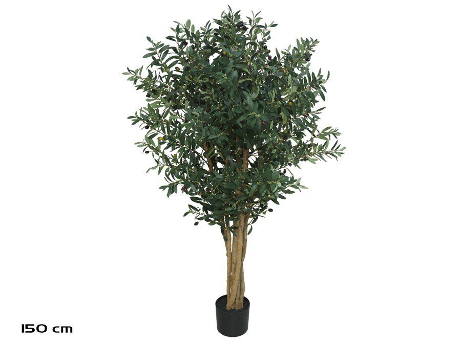 8445393572000 ARTIFICIAL- PLANTA OLIVEIRA - Image 1