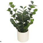ARTIFICIAL- ZAMIIFOLIA C/VASO CERAMICA