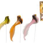 PASSAROS COLORIDOS 15CM CX.C/6UNID