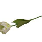 ARTIFICIAL- PE TULIPA ARTIFICIAL COR:BRANCA