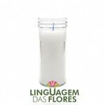 RECARGA P195 SANTISSIMO COR:BRANCO