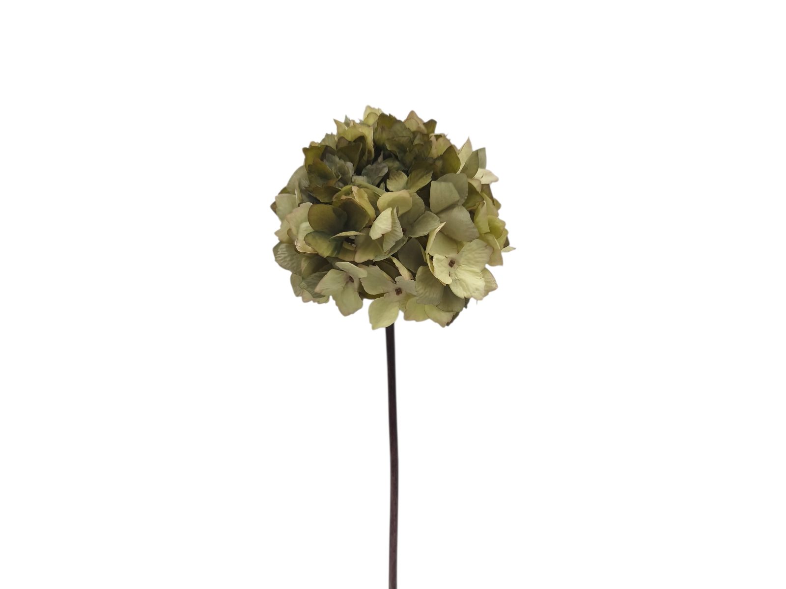 012541.8 ARTIFICIAL- PE HORTENSIA COR:VERDE - Image 1