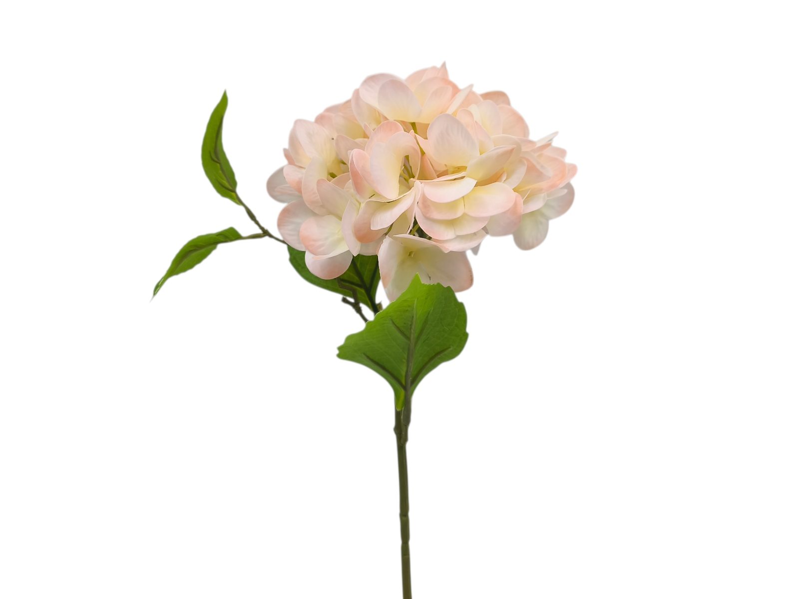 212019.2 ARTIFICIAL- PE HORTENSIA TACTO NATURAL COR:ROSA - Image 1