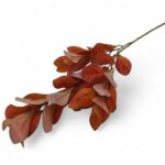 ARTIFICIAL- PE FOLHA PEPERONIA COR:LARANJA