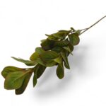 ARTIFICIAL- PE FOLHA PEPERONIA COR:VERDE/CASTANHO