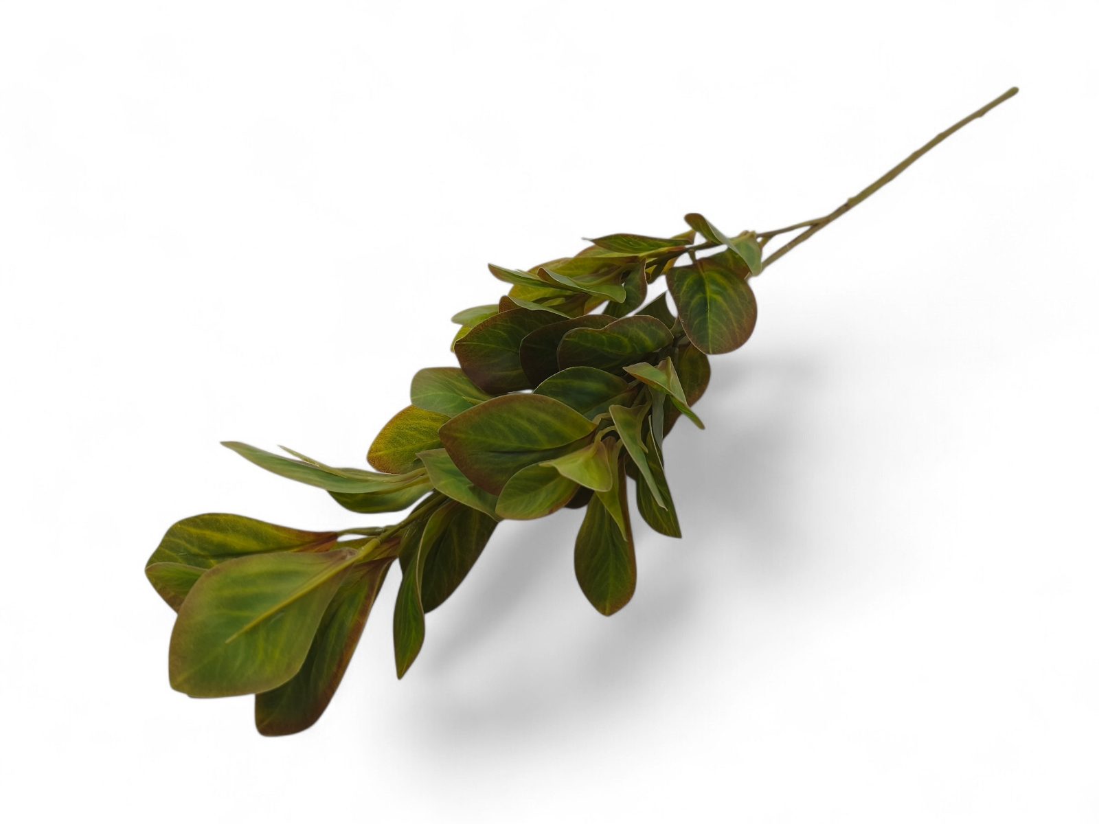 212020.9 ARTIFICIAL- PE FOLHA PEPERONIA COR:VERDE/CASTANHO - Image 1