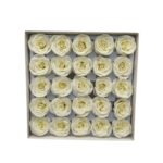 CAIXA C/25 ROSAS 6.5CM SABAO 5CM COR:CREME