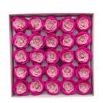 CAIXA C/25 ROSAS 6.5CM SABAO 5CM COR:ROSA/ROSA