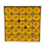 CAIXA C/25 ROSAS 6.5CM SABAO 5CM COR:AMARELO