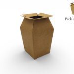 CAIXA PAPEL DESDOBRAVEL C/PLASTICO PACK C/5UNID